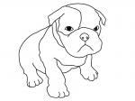 Pitbull Puppy coloring