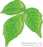 Poison Ivy clipart