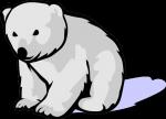 Polar  Bear clipart