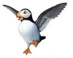 Puffin clipart