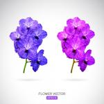 Purple Flower svg