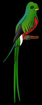 Quetzal Of Guatemala clipart