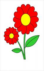 Red Flower coloring