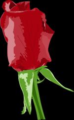 Red Rose svg