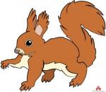 Red Squirrel clipart
