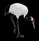 Red-crowned Crane clipart