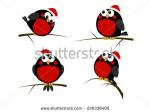 Red-masked Finch clipart
