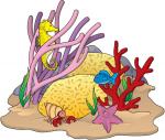 Reef clipart
