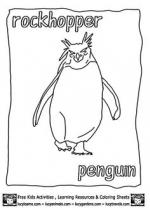 Rockhopper Penguin coloring