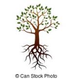 Tree Root clipart
