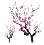 Sakura Tree svg
