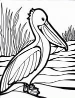 Pelican Island coloring