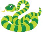 Smooth Green Snake clipart
