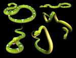 Smooth Green Snake svg