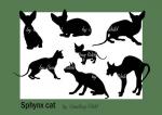 Sphynx Cat svg