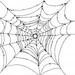 Spider Web coloring