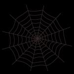 Spider Web svg