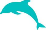 Spinner Dolphin clipart