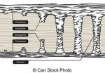 Stalagtites clipart