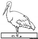 Stork coloring
