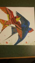 Swallow-tailed Hummingbird coloring