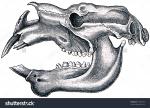 The Diprotodon clipart