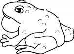 Toad clipart
