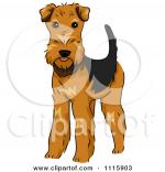 Welsh Terrier clipart