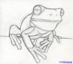 White-lipped Tree Frog clipart