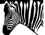 Zebra svg