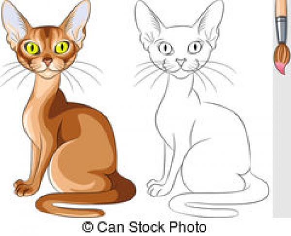 preview Abyssinian Cat clipart