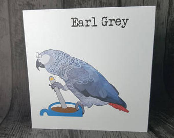 African Grey Parrot svg