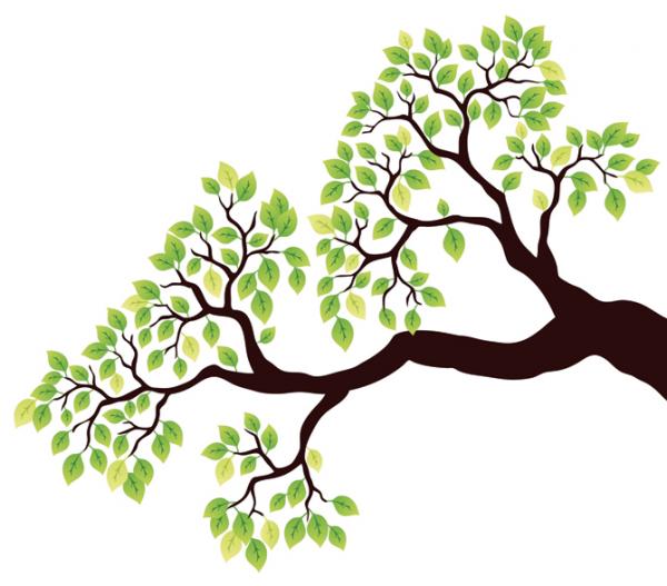 Amaltas clipart