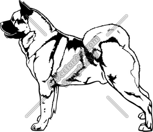 American Akita clipart