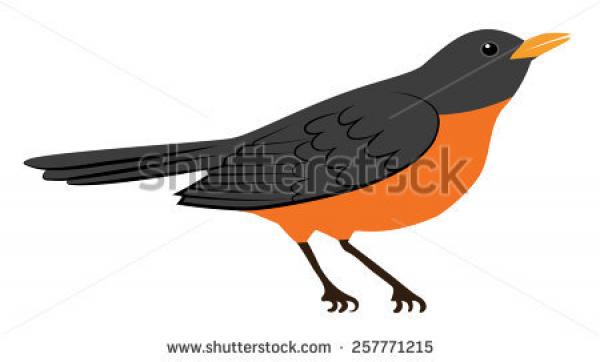 preview American Robin svg