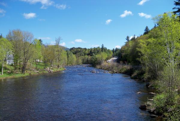 preview Ammonoosuc River coloring