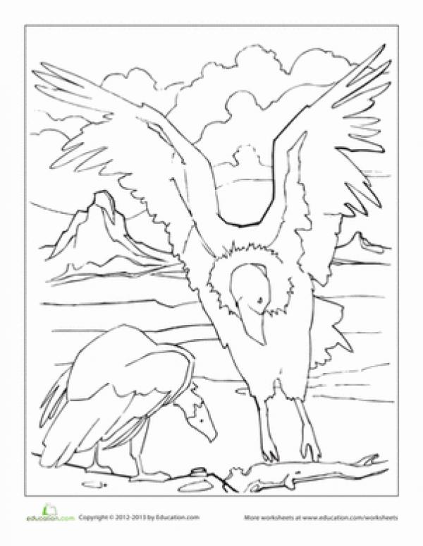 preview California Condor  coloring