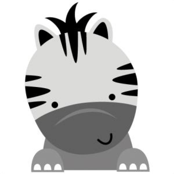 preview Animl svg