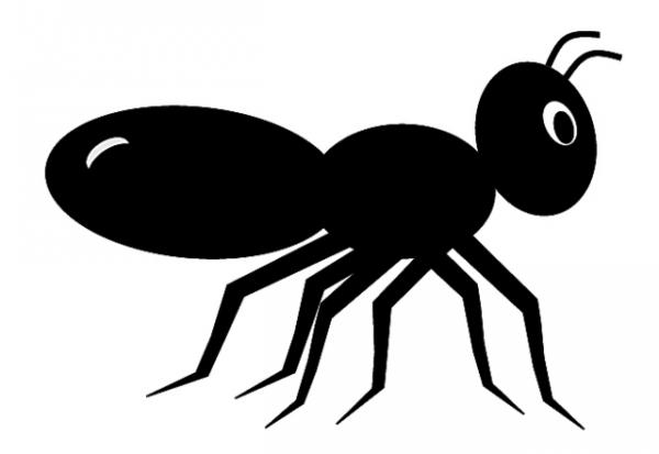 Ants clipart