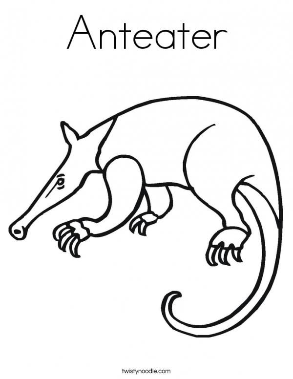 preview Anteater coloring