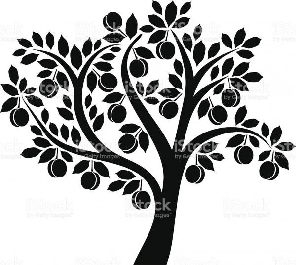 Apricot Tree clipart