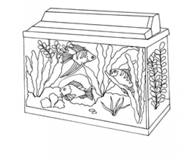 Aquarium coloring