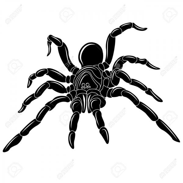 Arachnid clipart