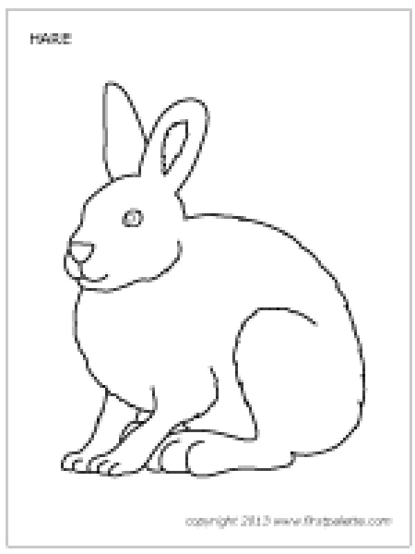 preview Arctic Hare coloring