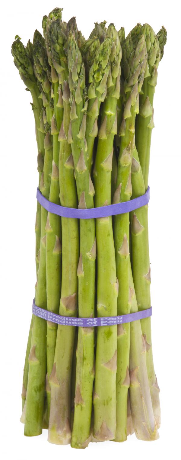 preview Asparagus svg