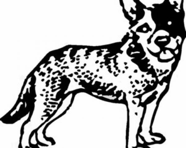 Australian Cattle Dog clipart