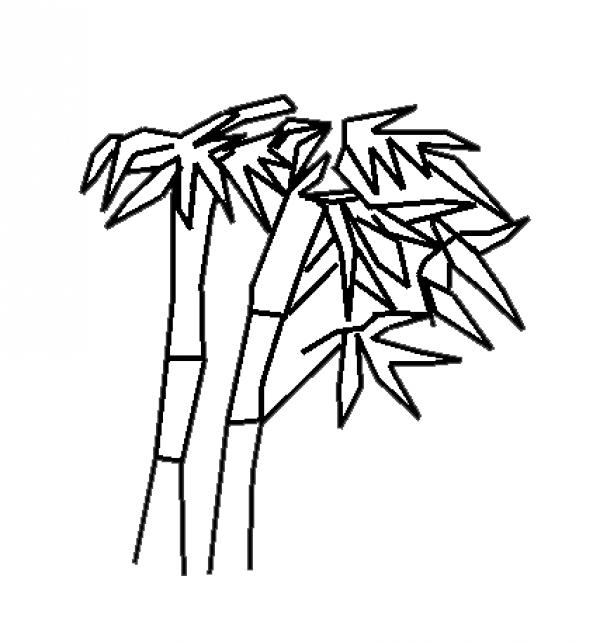 preview Bamboo coloring