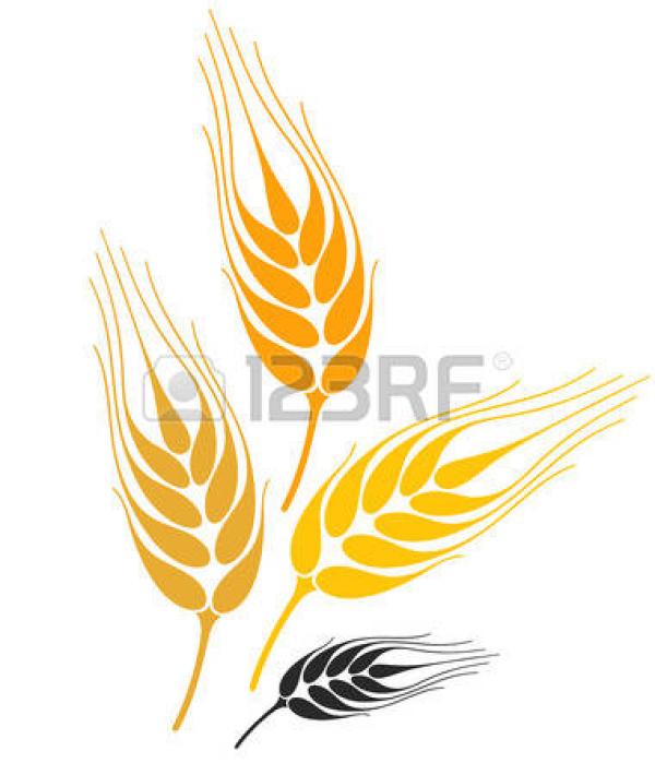 Barley clipart