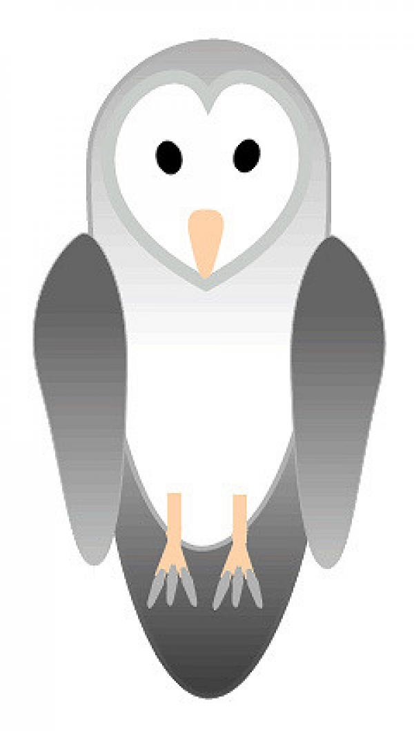 Barn Owl clipart