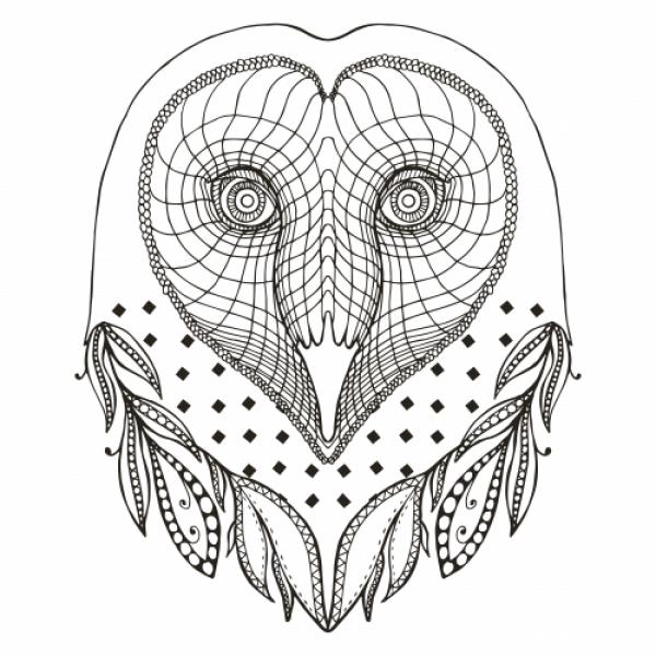 preview Barn Owl coloring